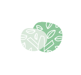 Terre Buissonnière